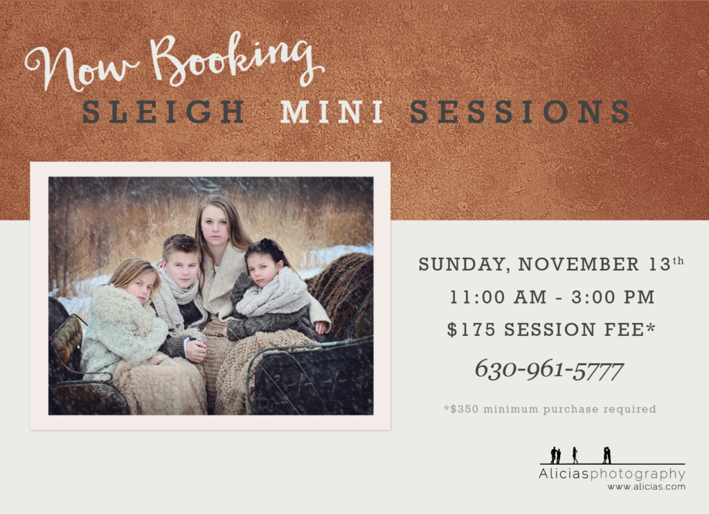 Naperville Chicago Hinsdale Photographer Vintage Sleigh Mini Sessions