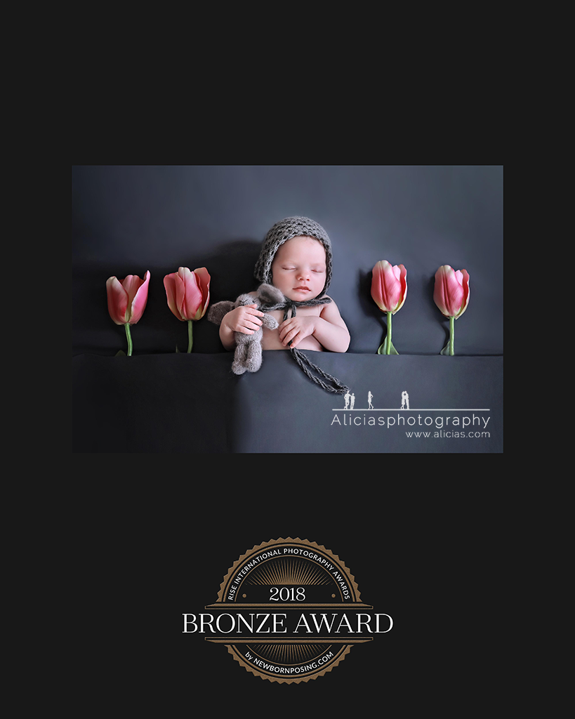 Chicago Naperville Award Winning Newborn Photographer Photography