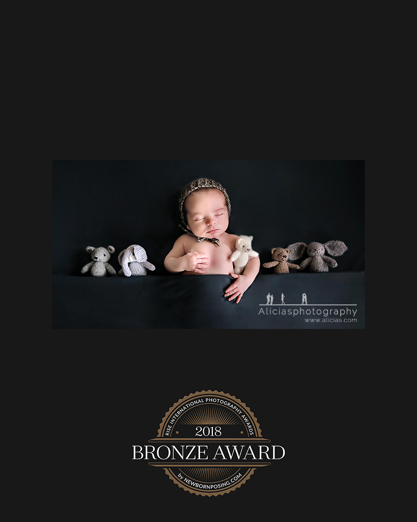 Chicago Naperville Award Winning Newborn Photographer Photography