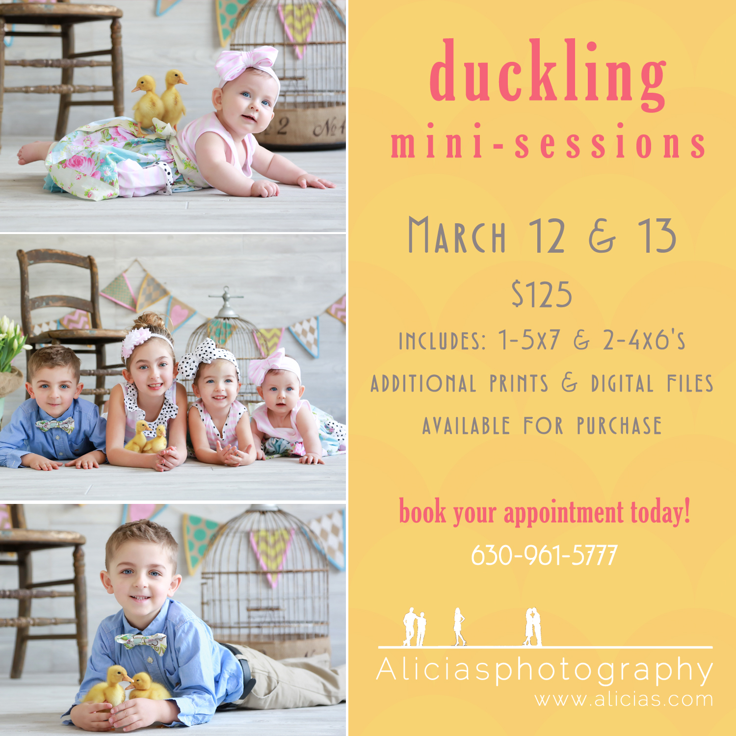 Chicago Naperville Easter Duckling Sessions